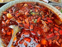 -青城甲(青城山店)