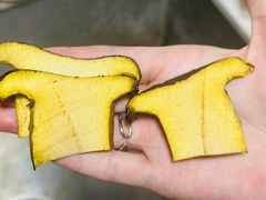 -云南木水花野生菌交易中心