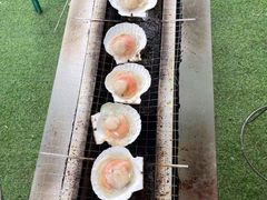 -尚庄度假村·庭台树下·户外烧烤·团建CS·轰趴营地(上庄水库店)