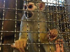 -成都浩海立方海洋公园