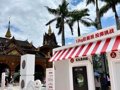 -西双版纳傣族园