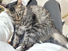 -平行世界·猫咖(首经贸店)