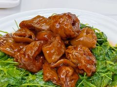 -海金滋(陕西南路店)