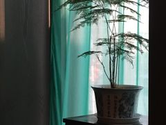 -九朝会昆曲·宴(望京店)