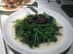 豆苗-皇朝会.经典传统粤菜(外滩店)