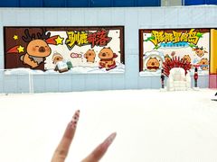 -哈尔滨热雪奇迹