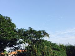 -厦门悦华酒店