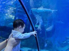 -太平洋海底世界