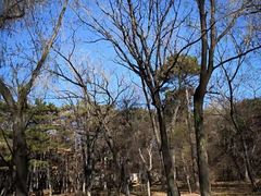 -长春市南湖公园