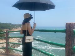 -广东惠东海龟国家级自然保护区