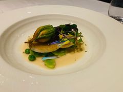 -蝶舍·MAISON PAPILLON