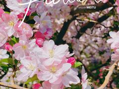 -海棠花溪(元大都城垣遗址公园)