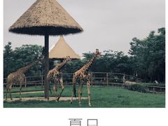-南昌动物园