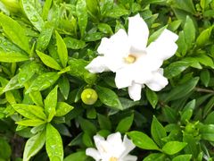 -滴水坊(星云文教馆店)