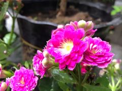 -许鲜生健康生活馆·精细潮菜(奥绅体育公园店)