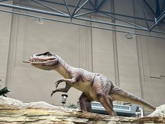 -国家自然博物馆