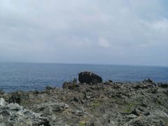 -龙坑生态保护区