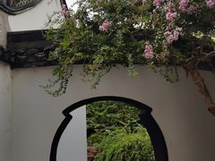 -上海醉白池公园