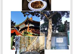 -牛街洪记小吃店(牛街店)