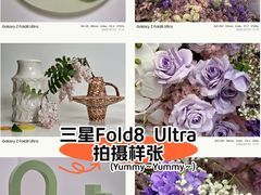 -上海雅居乐万豪侯爵酒店