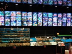 -金太阳海鲜烧烤·本地人餐厅(东纬路旗舰店)