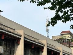 -桂湖森林公园