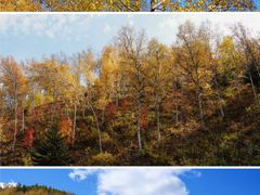 -塞罕坝国家级自然保护区