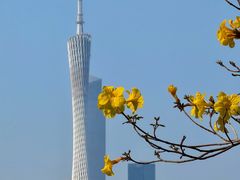 -海珠湖公园