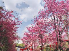 -昆明动物园