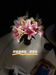 -亚太瑜伽普拉提学院