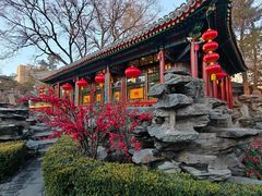 -白家大院·王府宫廷菜(苏州街店)