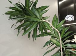 -颜蕾医美·黄金微针·水光·玻尿酸·超声炮