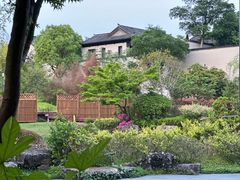 -春色如许·茶食餐厅(桃李春风店)