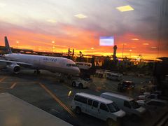 -纽瓦克自由国际机场