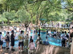 -东明山森林公园