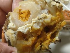 -黄记大闸蟹专卖店·活蟹·醉蟹