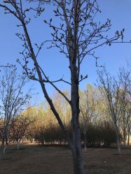 -大望京儿童游乐场