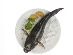 笋壳鱼-盒马鲜生(金桥国际广场店)