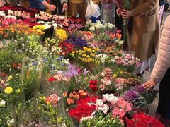 -双季花艺园艺市场(浦东店)