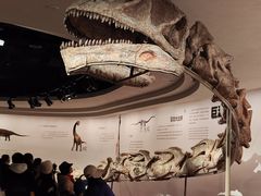 -自贡恐龙博物馆