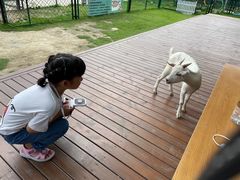 -太阳岛度假酒店