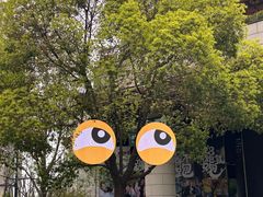 -瑞虹新天地月亮湾