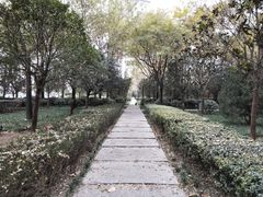 -唐城墙遗址公园