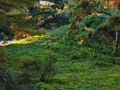 -国家植物园南园