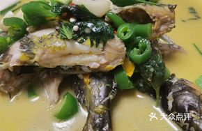 Green Pepper Yellow Catfish