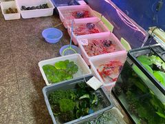 -双季花艺园艺市场(浦东店)