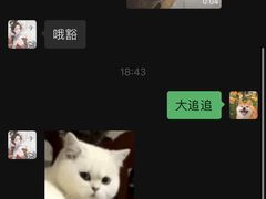 -洞仙锅(花园街店)