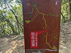 -梧桐山风景名胜区