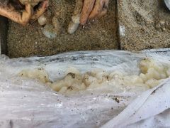 -叶氏麻糍(鼓浪屿店)