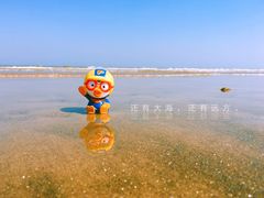 -日照海滨国家森林公园